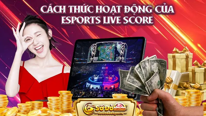 Cách thức hoạt động của Esports Live Score với SODO66 Esports