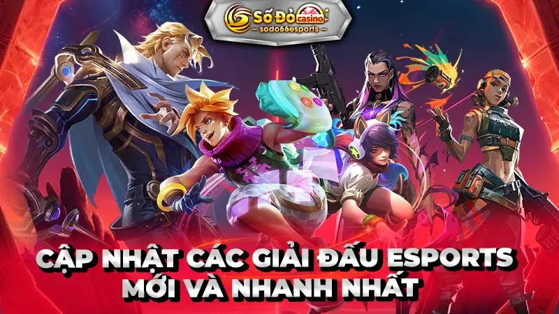 cập nhật các giải đấu esports mới và nhanh nhất