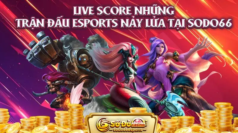 live-score-những-trận-đấu-esports-nảy-lửa